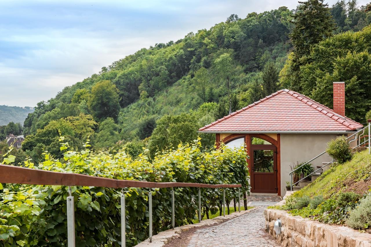 Flair Hotel Villa Ilske Bad Kosen Extérieur photo